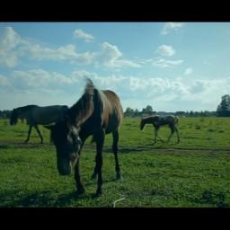 Видео #264103, автор: Антон Захаров