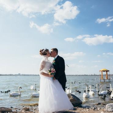 Фотография #272624, свадебная фотосъемка, автор: Дарья Маркова