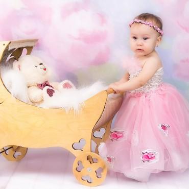 Фотография #272935, студийная фотосъемка, автор: Елена Дубовенко