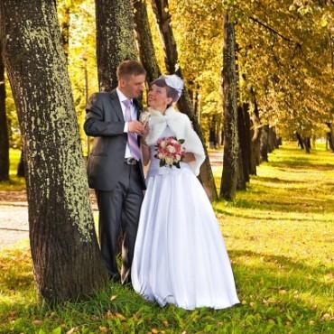 Фотография #235362, свадебная фотосъемка, автор: Иляна Попова