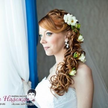 Фотография #238310, , автор: Надежда Федорова