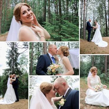 Фотография #246121, свадебная фотосъемка, автор: Владимир Савельев