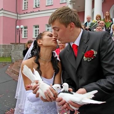 Фотография #245994, свадебная фотосъемка, автор: Владимир Ларионов